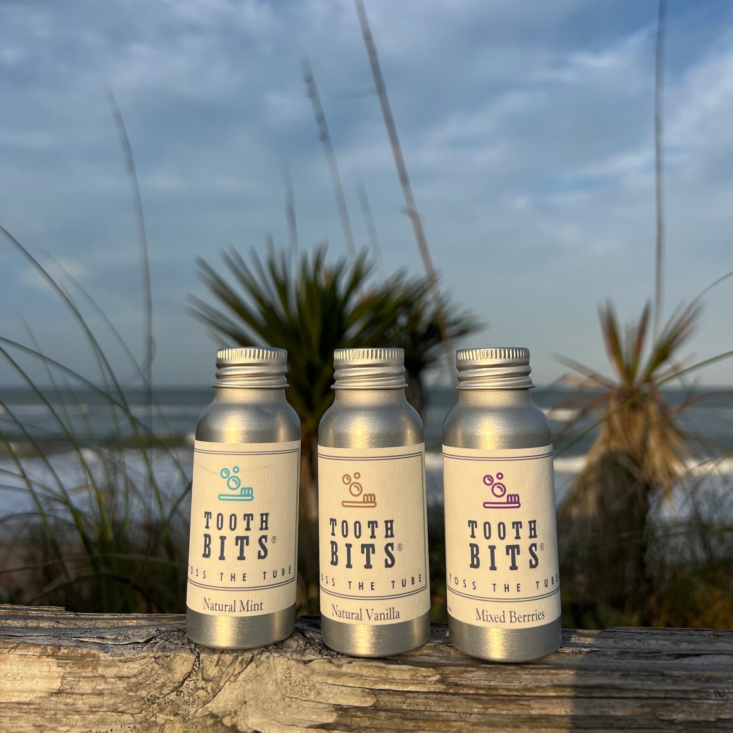 TOOTH BITS® - Natural Mint toothbrushing tablets